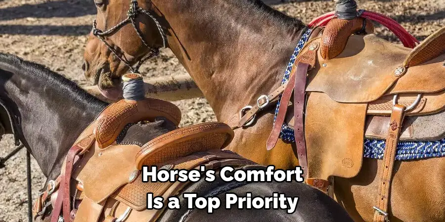 Horse's Comfort Is a Top Priority