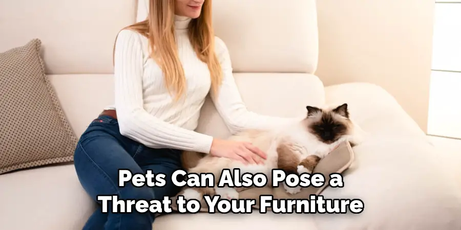 Pets Can Also Pose a Threat to Your Furniture