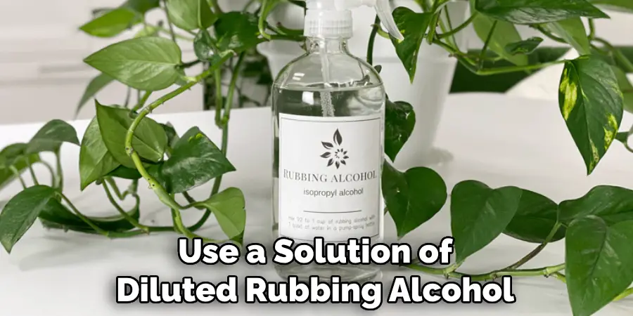 Use a Solution of Diluted Rubbing Alcohol