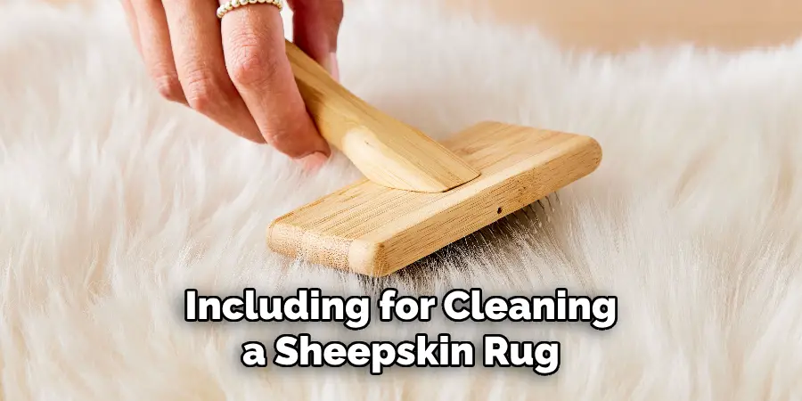 Including for Cleaning a Sheepskin Rug