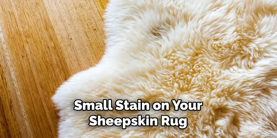 Small Stain on Your Sheepskin Rug