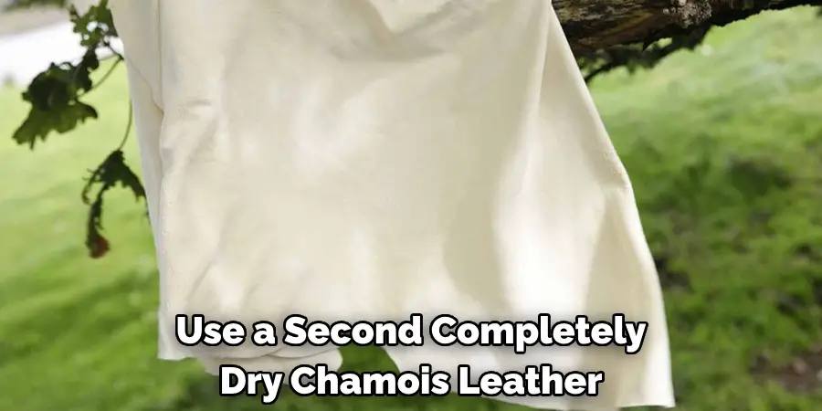 Use a Second Completely Dry Chamois Leather