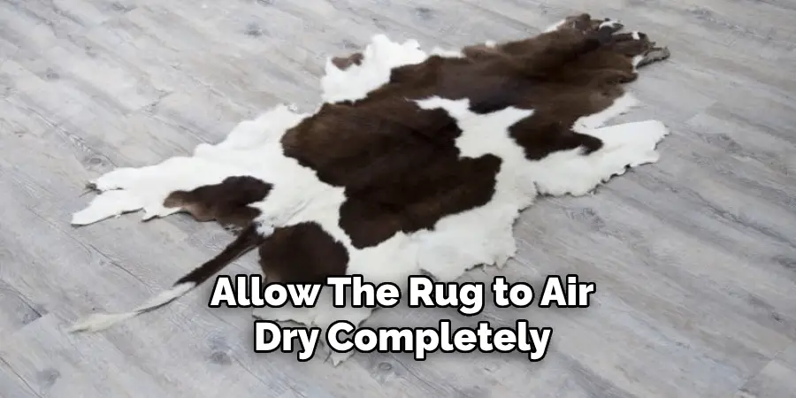 Allow the Rug to Air Dry Completely