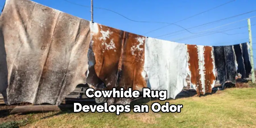 Cowhide Rug Develops an Odor