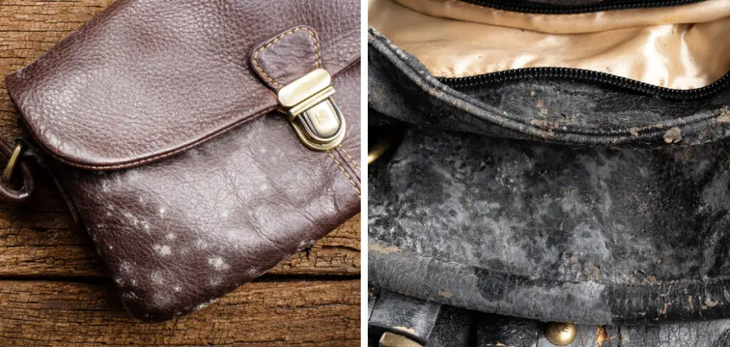 How to Clean Leather With Mold