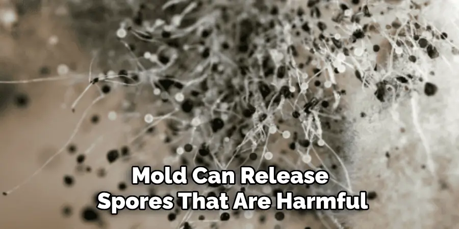 Mold Can Release Spores That Are Harmful