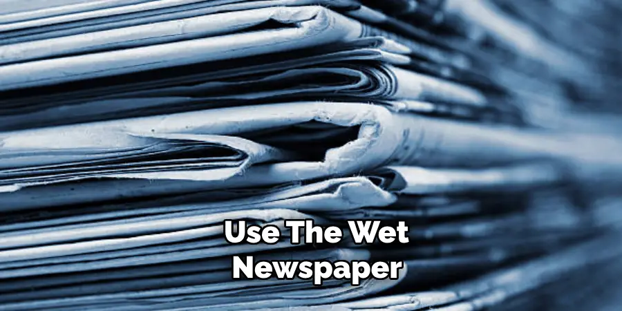 Use the Wet Newspaper 