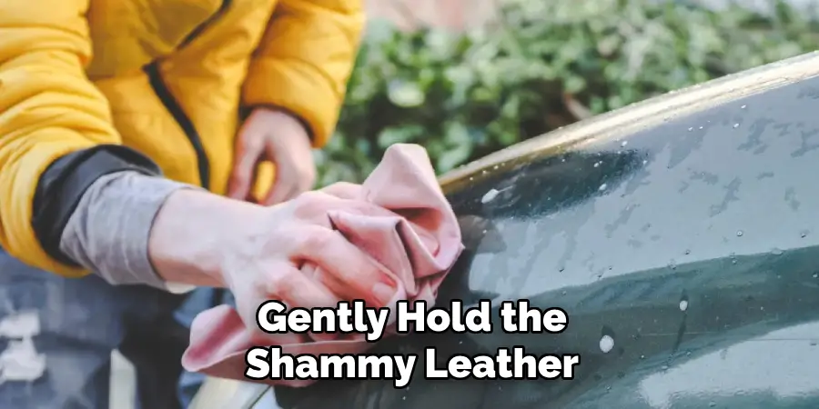 Gently Hold the Shammy Leather