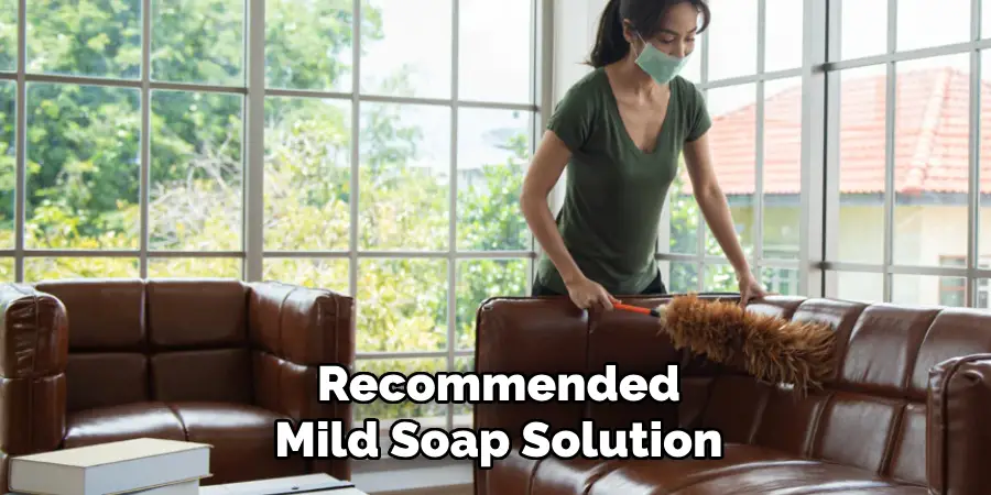 Recommended Mild Soap Solution