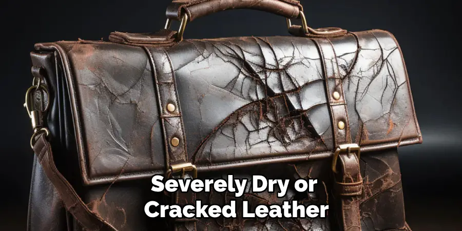 Severely Dry or 
Cracked Leather