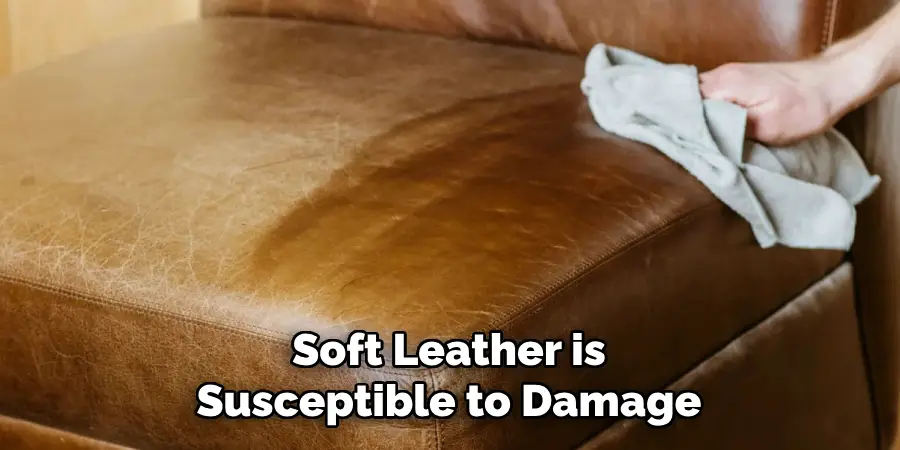 Soft Leather is 
Susceptible to Damage 