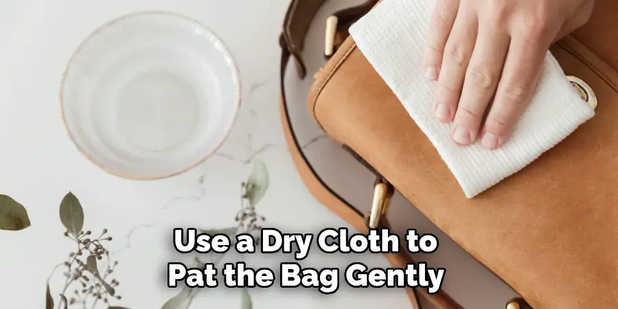 Use a Dry Cloth to 
Pat the Bag Gently 