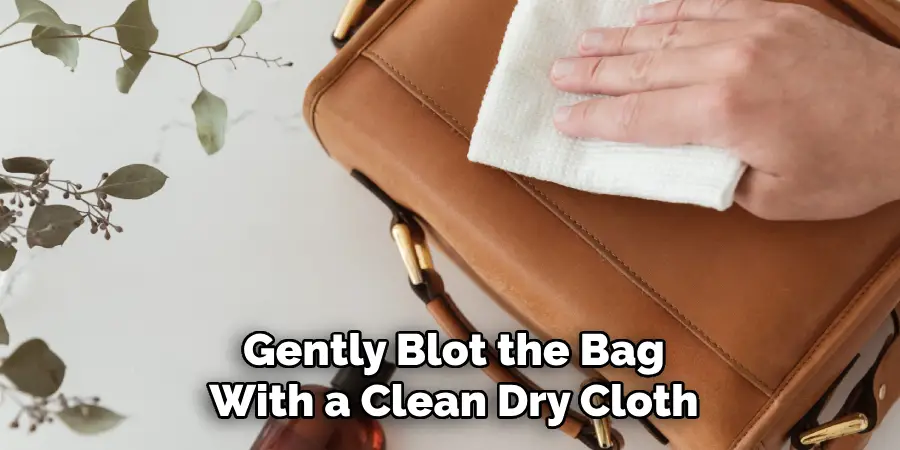 Gently Blot the Bag
With a Clean Dry Cloth