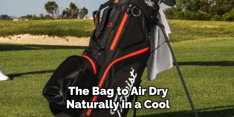 The Bag to Air Dry Naturally in a Cool