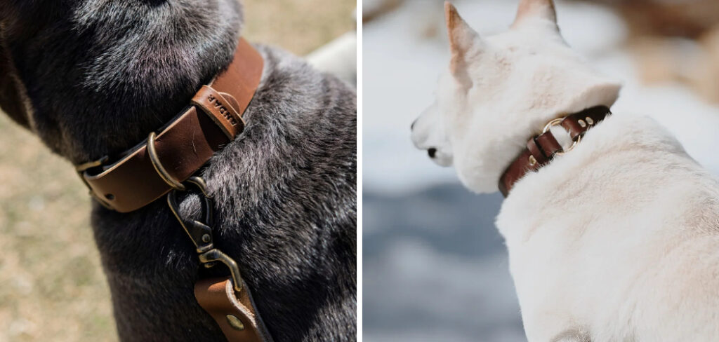 How to Soften Leather Dog Collar 