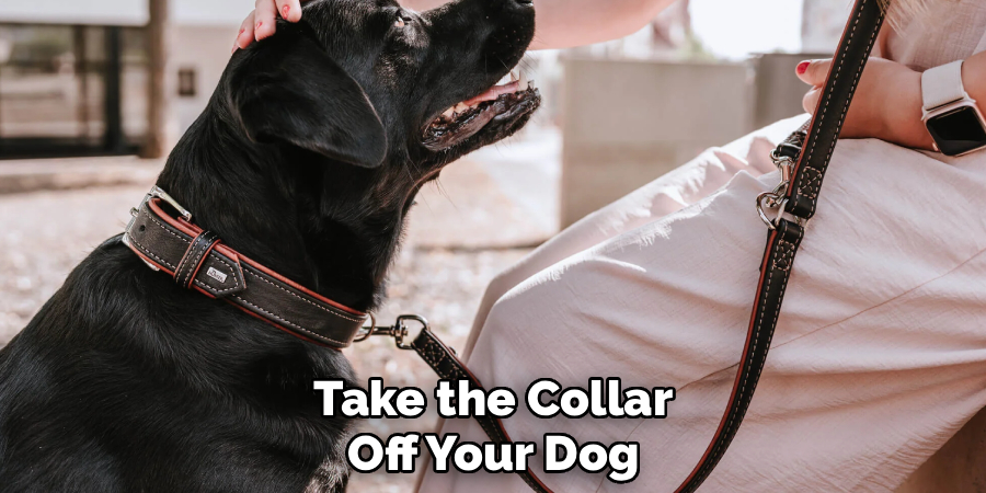 Take the Collar Off Your Dog.