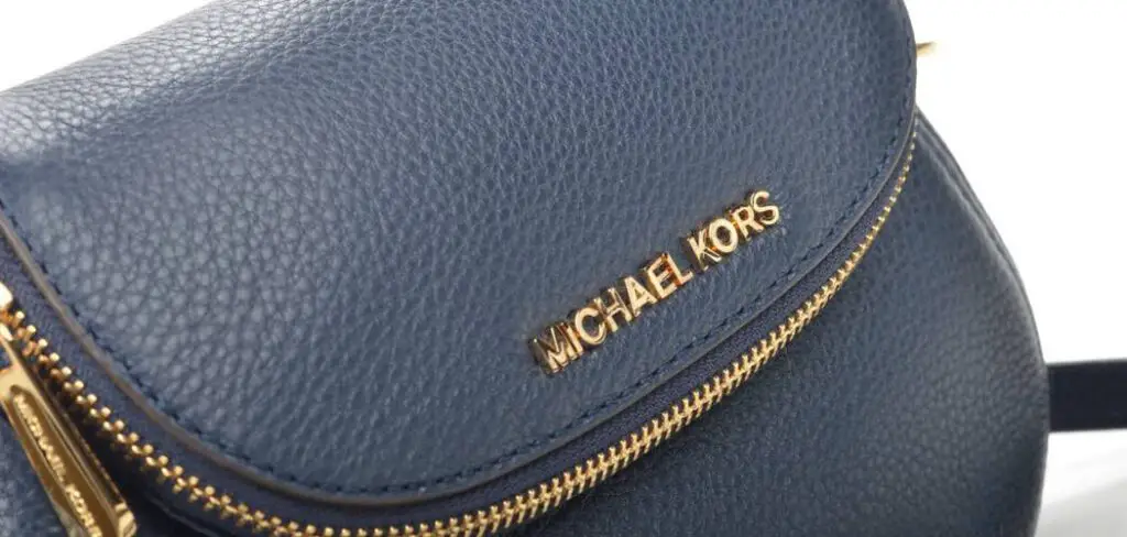 How To Clean Michael Kors Leather Purse 11 Simple Steps   How To Clean Michael Kors Leather Purse 1024x488 