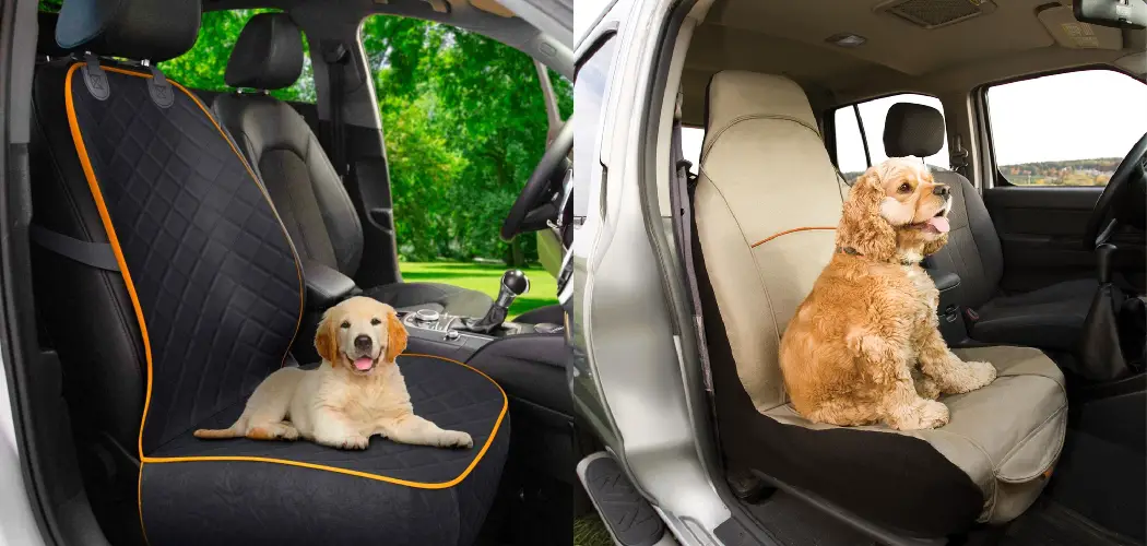 How to Protect Leather Seats from Dogs