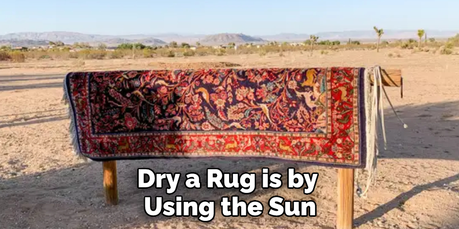 Dry a Rug is by Using the Sun