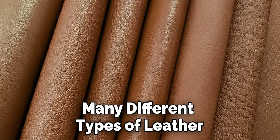 Many Different Types of Leather