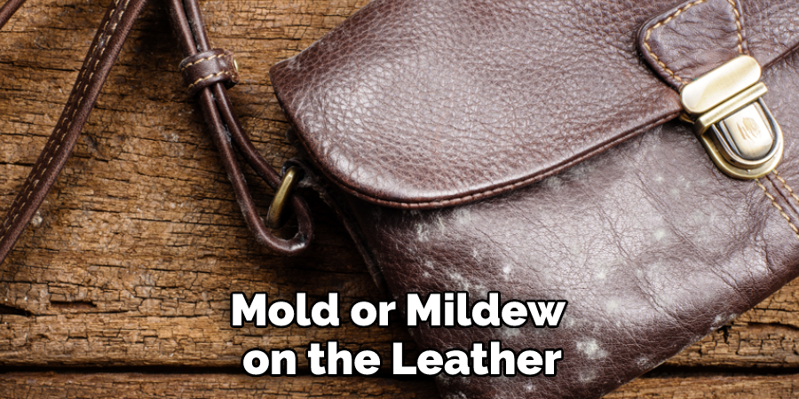 Mold or Mildew on the Leather