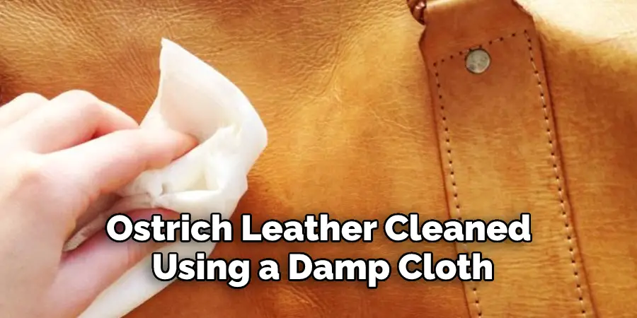 Ostrich Leather Cleaned 
Using a Damp Cloth
