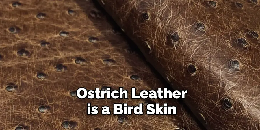 Ostrich Leather is a Bird Skin