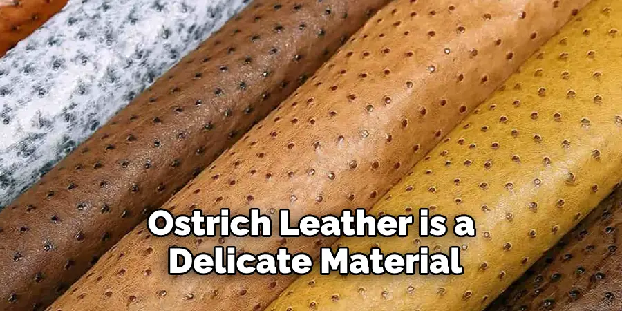 Ostrich Leather is a Delicate Material