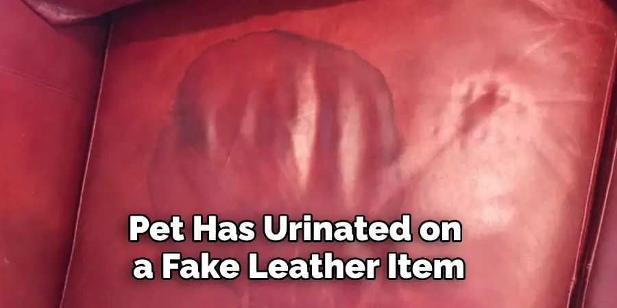Pet Has Urinated on a Fake Leather Item