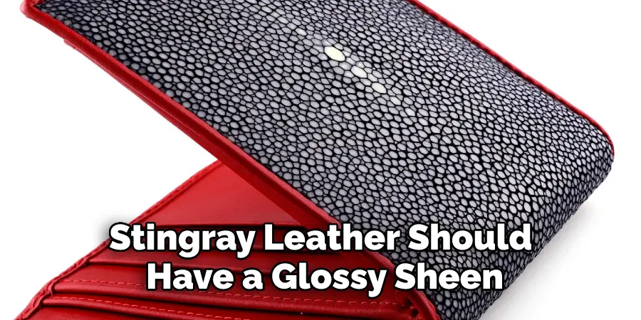 Stingray Leather Should 
Have a Glossy Sheen