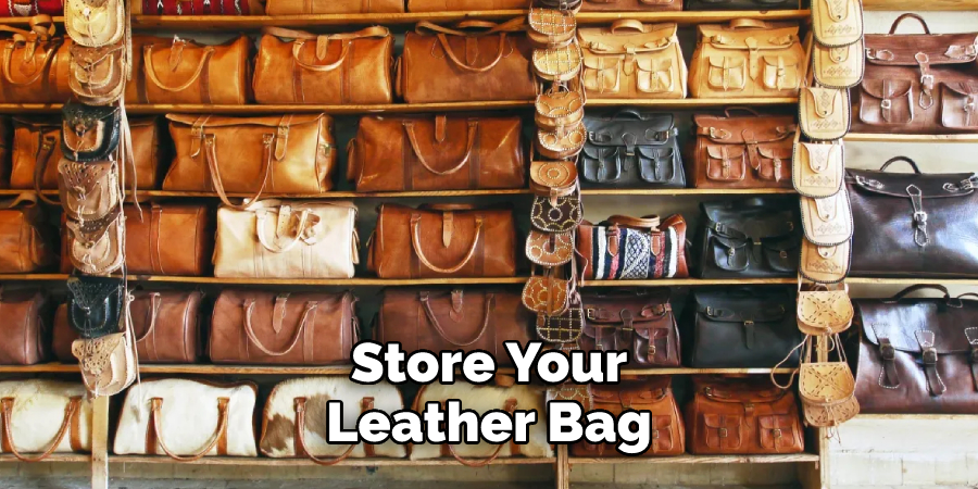 Store Your Leather Bag