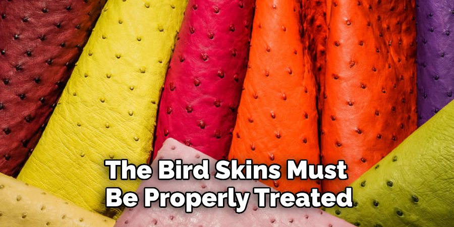 The Bird Skins Must Be Properly Treated