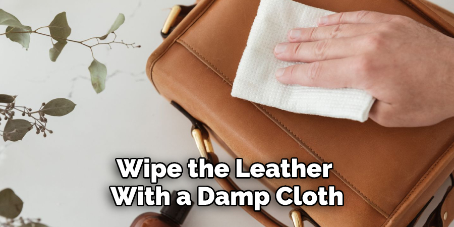 Wipe the Leather 
With a Damp Cloth