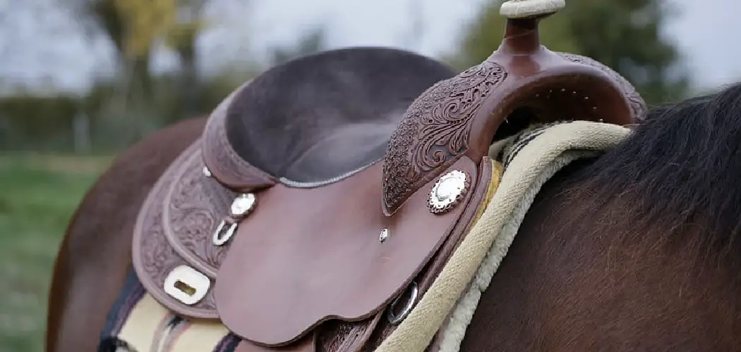 How to Clean Leather Saddle