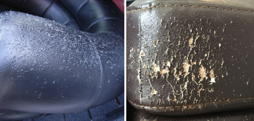 How to Fix Cat Claw Holes in Leather