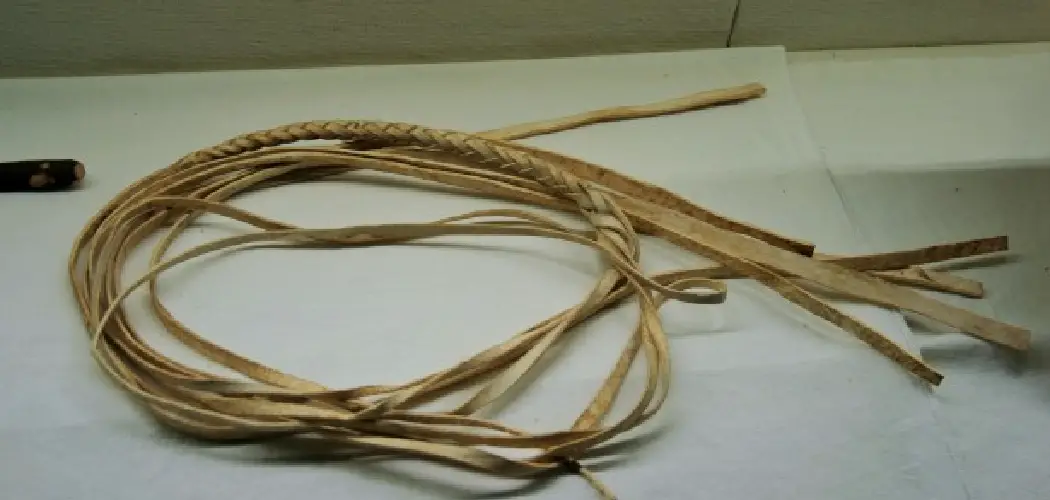 How to Make Leather Whip