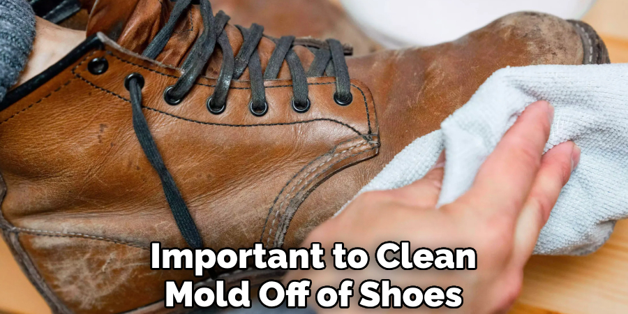 How to Remove Mold from Shoes - 10 Effective Steps (2023)