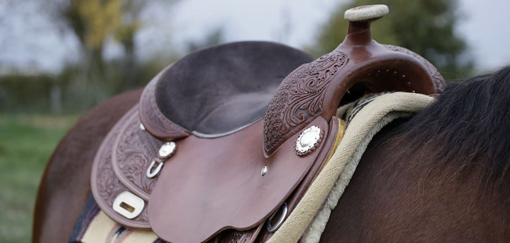 How to Know What Size Saddle You Need