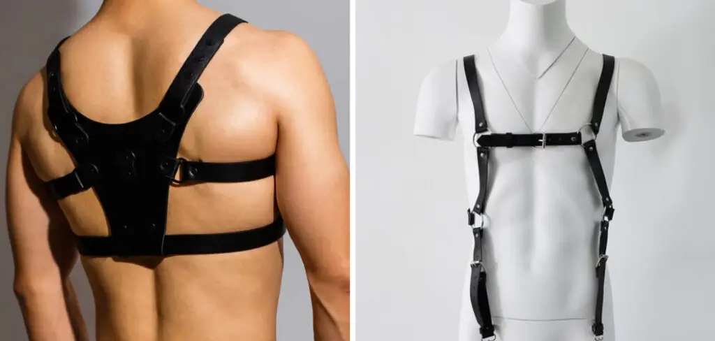 How to Store Leather Harness