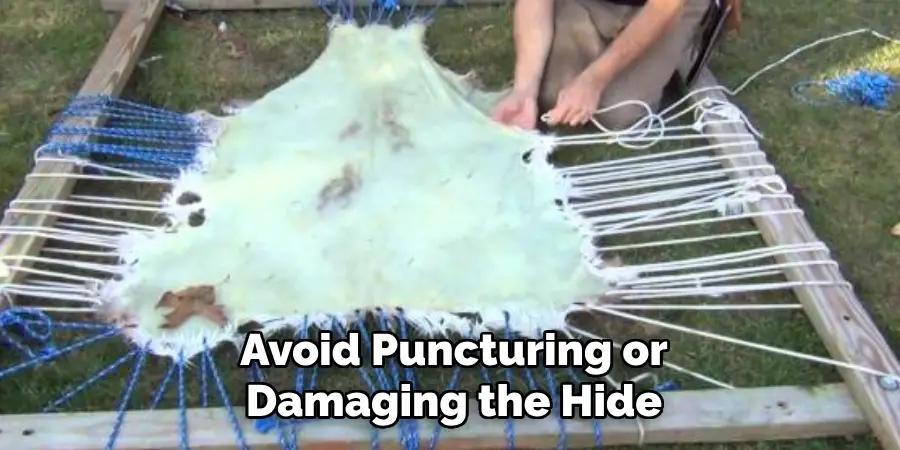 Avoid Puncturing or Damaging the Hide