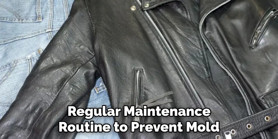 Regular Maintenance
Routine to Prevent Mold