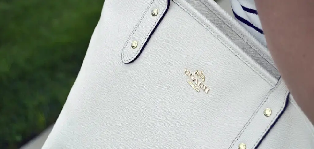 How to Clean Soft Leather Bags