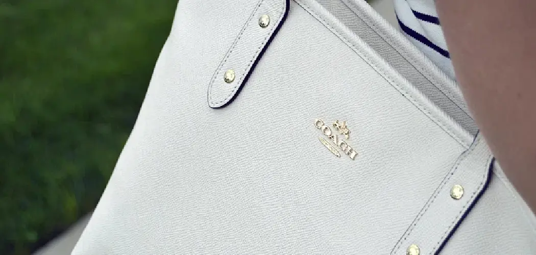 How to Clean Soft Leather Bags