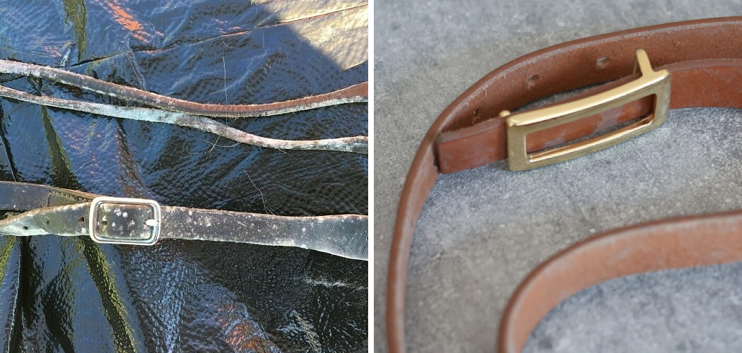 How to Clean Mold on Leather Belt